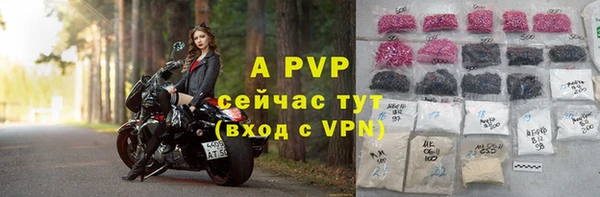 крисы Пересвет