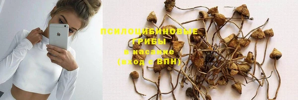 крисы Пересвет
