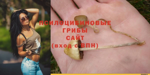 крисы Пересвет