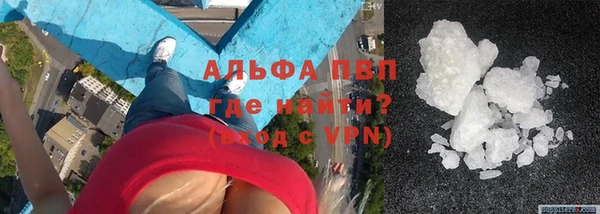 индика Хадыженск