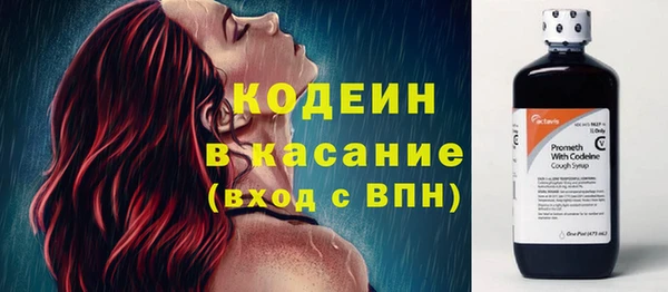 сатива Чегем