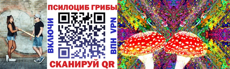 Галлюциногенные грибы MAGIC MUSHROOMS Боготол