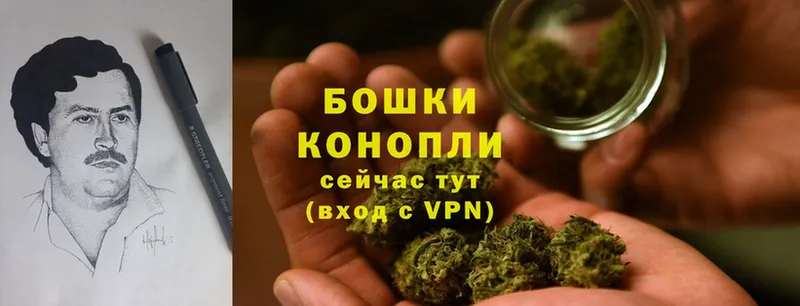 Бошки марихуана SATIVA & INDICA  ОМГ ОМГ зеркало  Боготол 